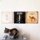 Magnetic Wall Hanger