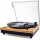 Record Master TT202J Retro Pikap