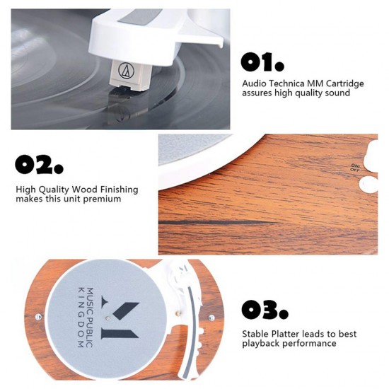 Music Public Kingdom TT238 Pikap