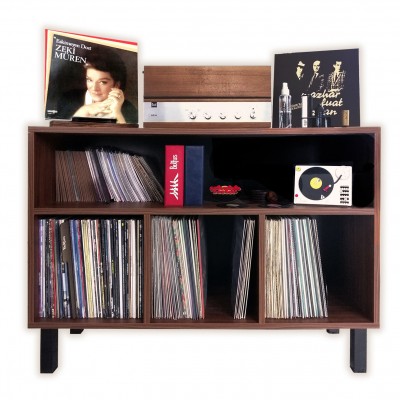 Record and Turntable Cabinet